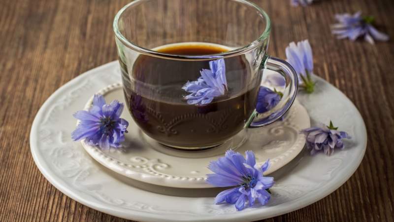 ILEISH ANNA / Shutterstock.com