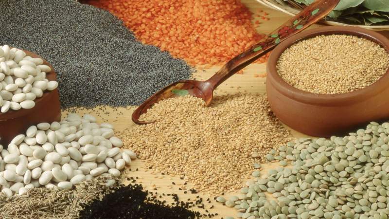 Alaettin YILDIRIM / Shutterstock.com
