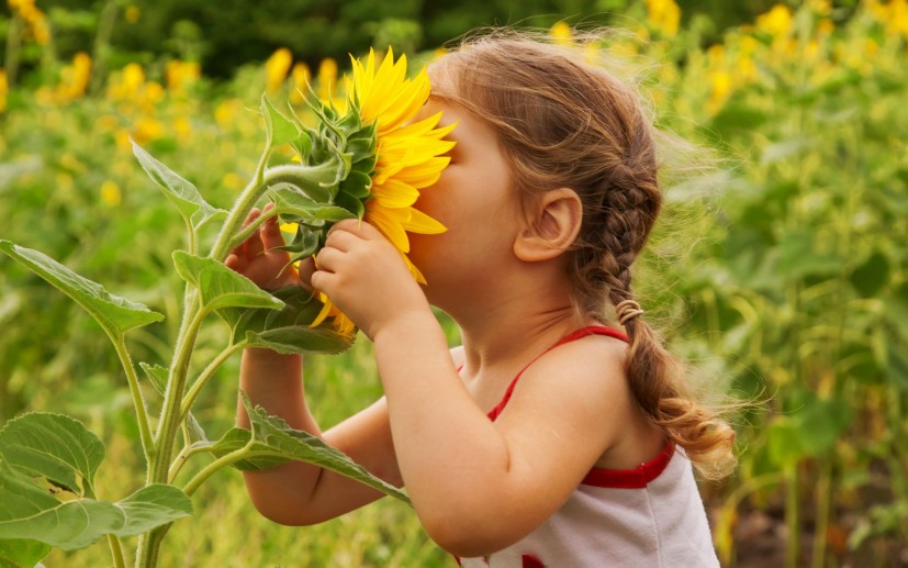 Vitalinka / Shutterstock.com