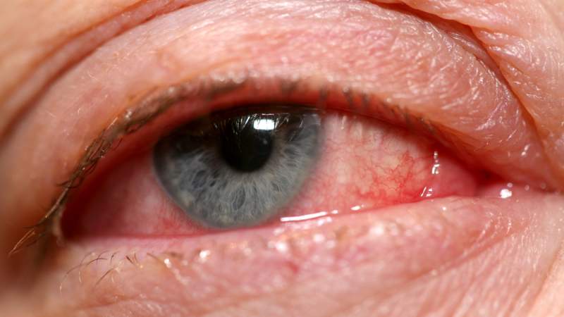 Litvintsev Ihor / Shutterstock.com
