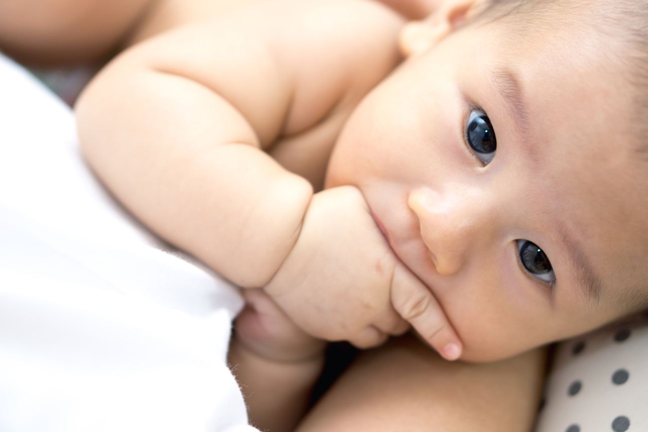 BonNontawat / Shutterstock.com