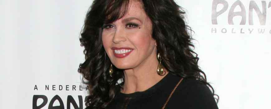 Helga Esteb / Shutterstock.com