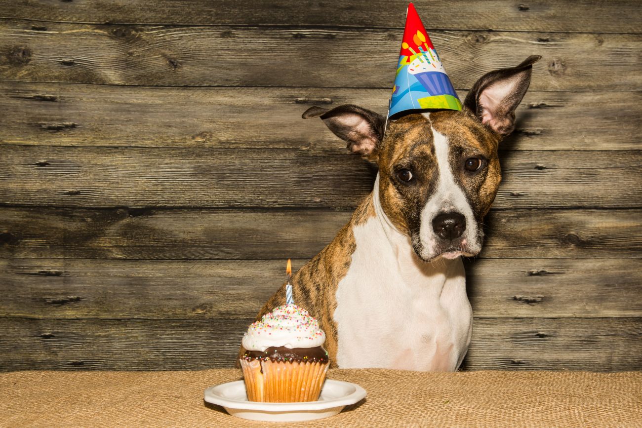 Jay Ondreicka / Shutterstock